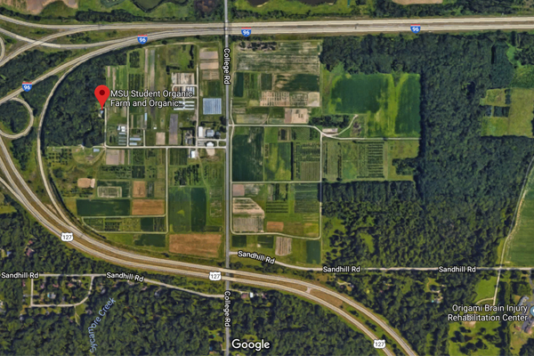 Soil Moisture Sensor